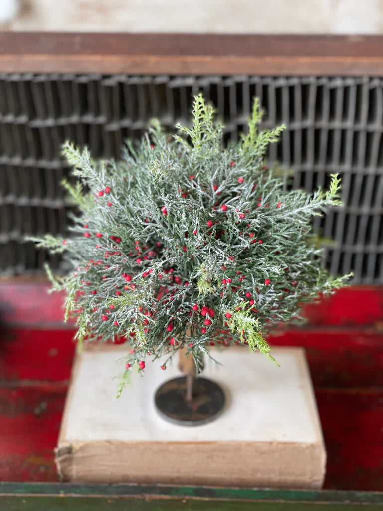 Cedar Half Sphere with Berries 9"